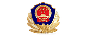 政法系统